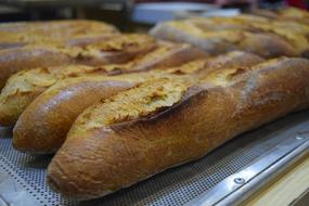 hot fried bread