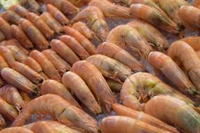 Delicious boiled shrimp