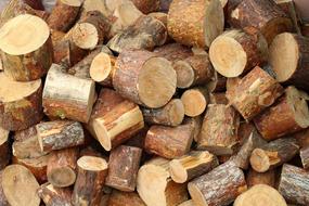 Tree Wood Cut The Pile Of