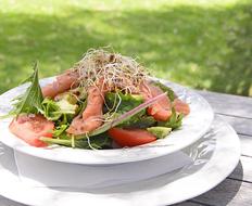 vegetable salad dinner