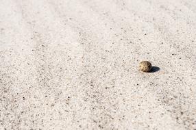 Sand Texture Beach