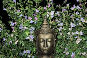 Flowers Beauty Buddha