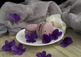 macorons decorated with violets