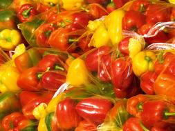juicy colorful vegetables