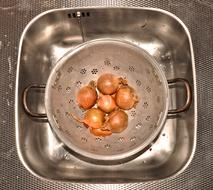 onion washing