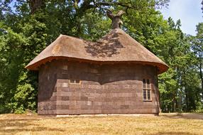 Tree Bark House
