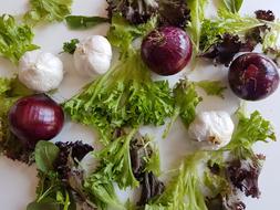 Fresh raw vegetables on the table