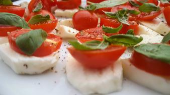 Cheese and tomato appetizer