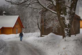 Snow Winter village