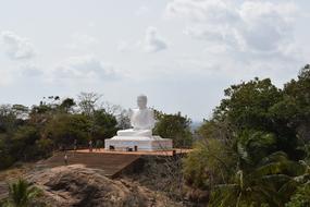 buddha white trees view