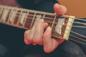 Guitar Bowed Stringed