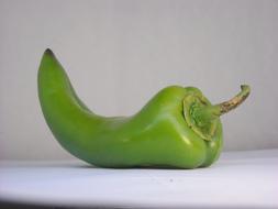 swirled green pepper on a white background