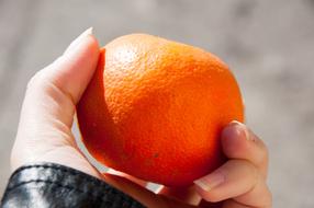 juicy orange in hand