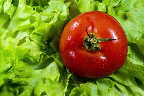 red sweet tomato in a salad