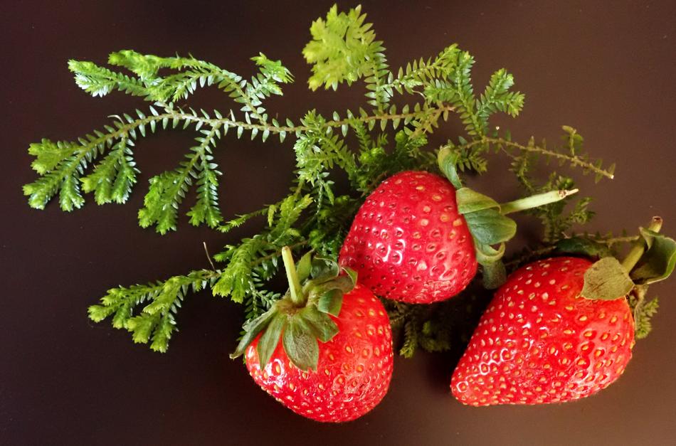 Three juicy strawberries