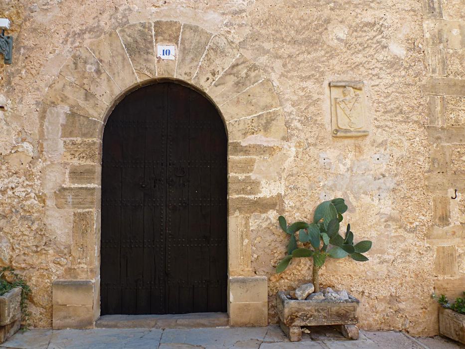 Spain Door Cactus