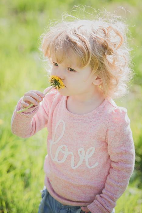 Child smelling dandelion at Nature Summer