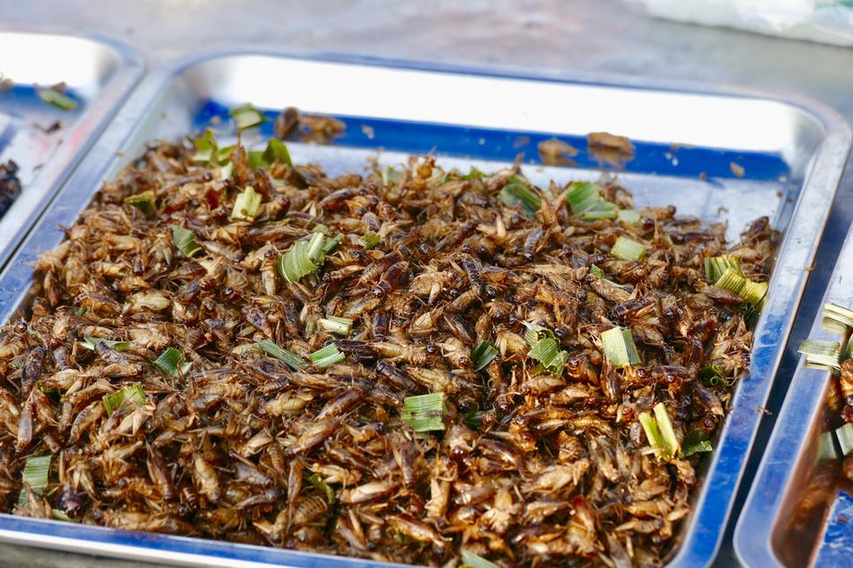 Exotic fried insect dish