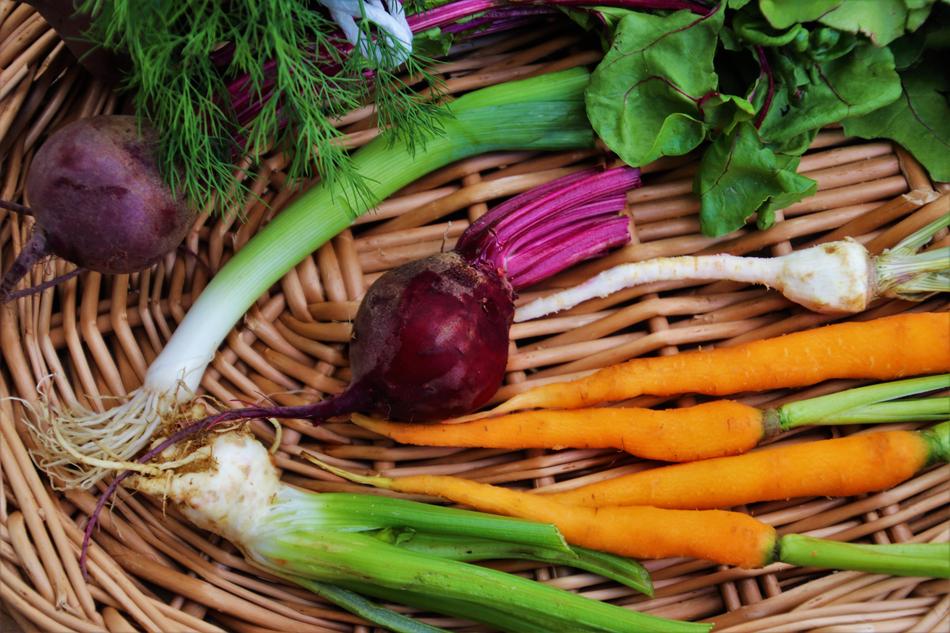 Colorful healthy vegetables in a basket