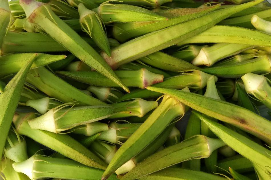 garden green vegetables