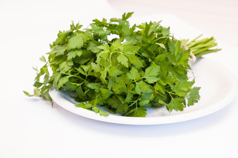 fresh green parsley