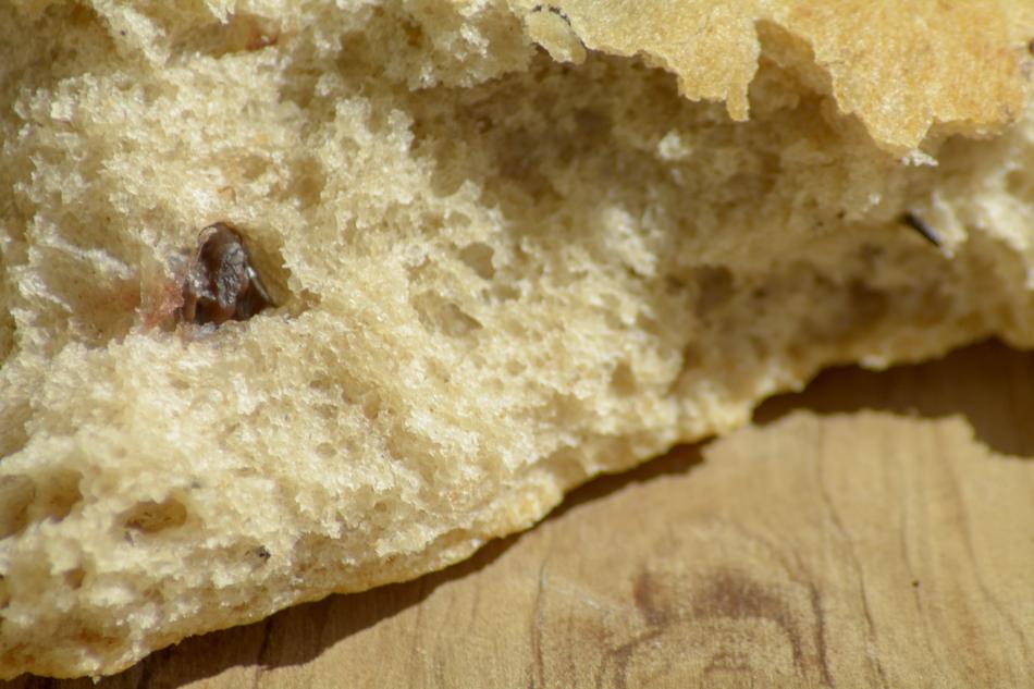 Fresh delicious bread with raisins