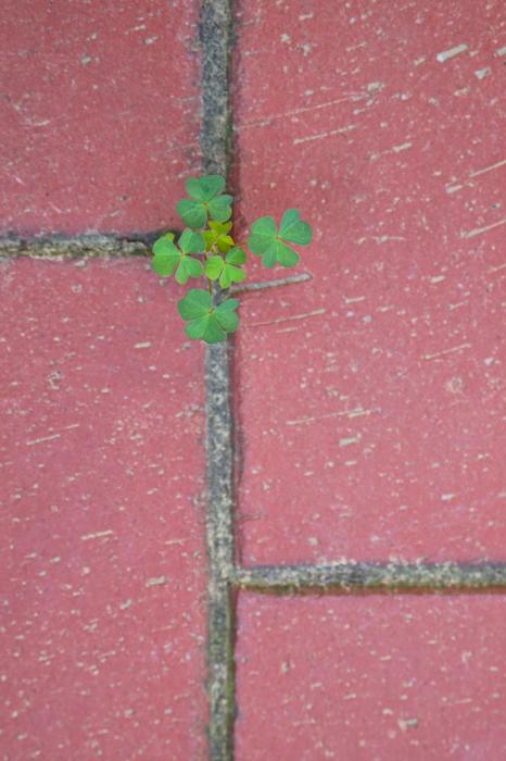 Background Old Brick