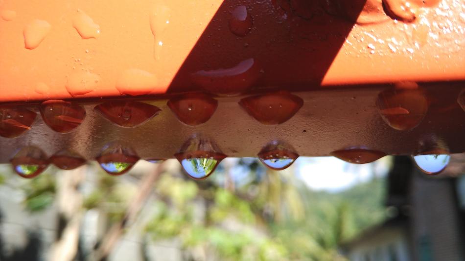 drops of water on the fence