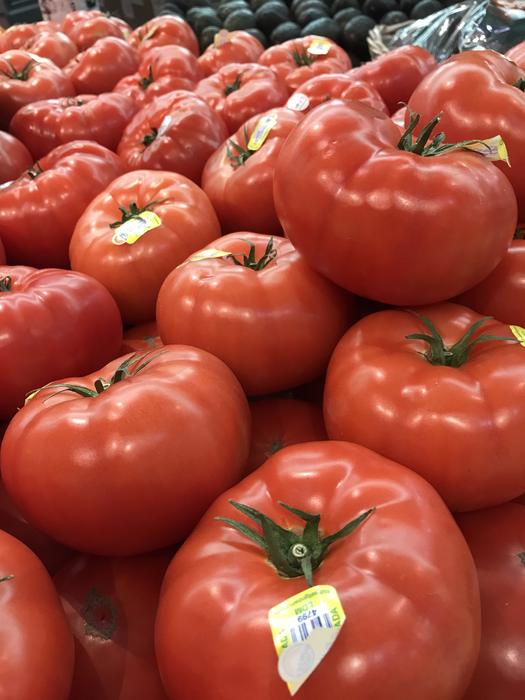 juicy tomatoes harvest