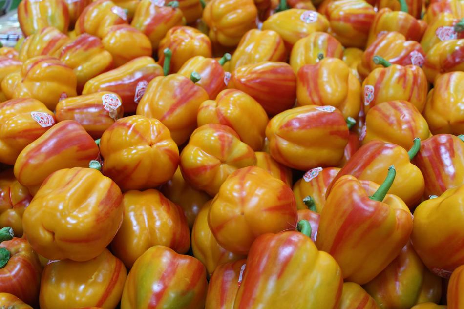 harvest of colorful vegetables