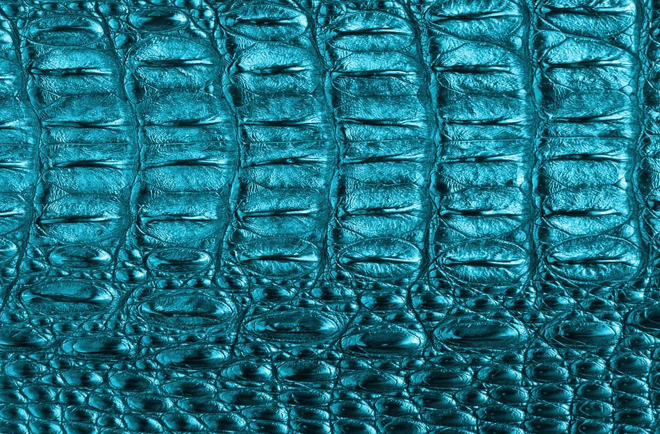 Texture Tortie Color