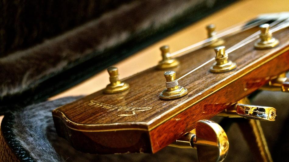 Guitar Eastman