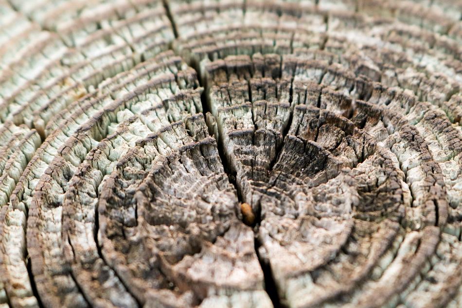 Texture Pattern Structure free image download