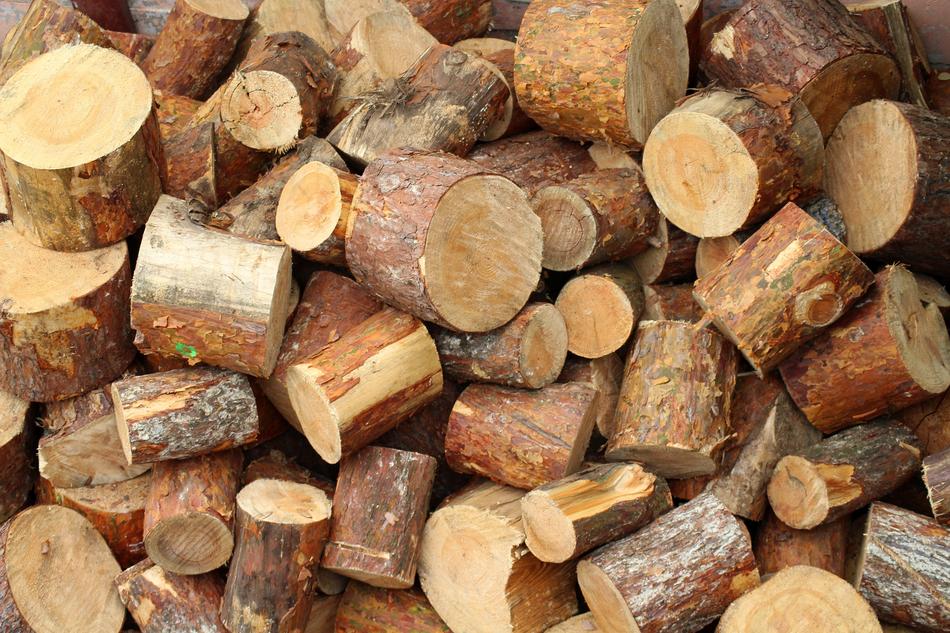 Tree Wood Cut The Pile Of