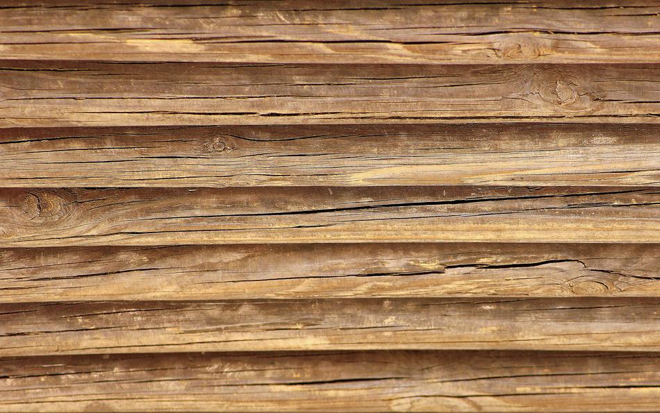 Tree Wood Wooden The