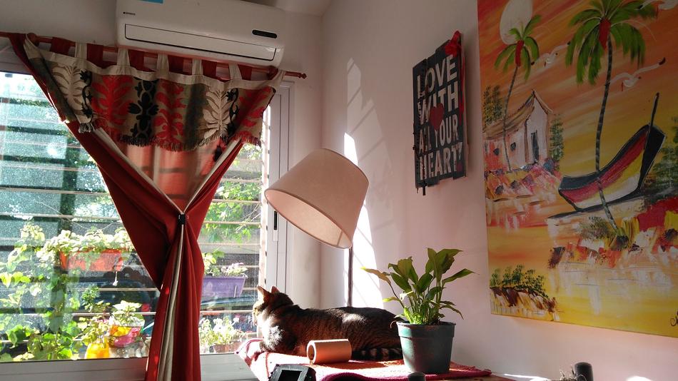 In House Light