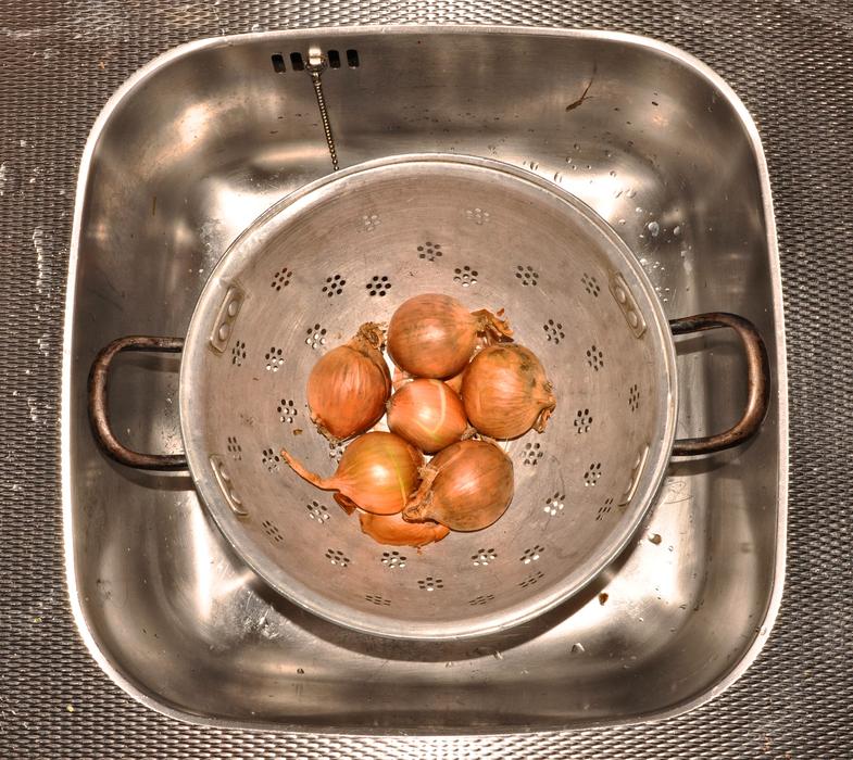 onion washing