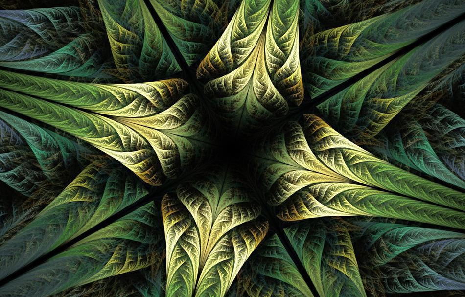 fractal art design pattern image