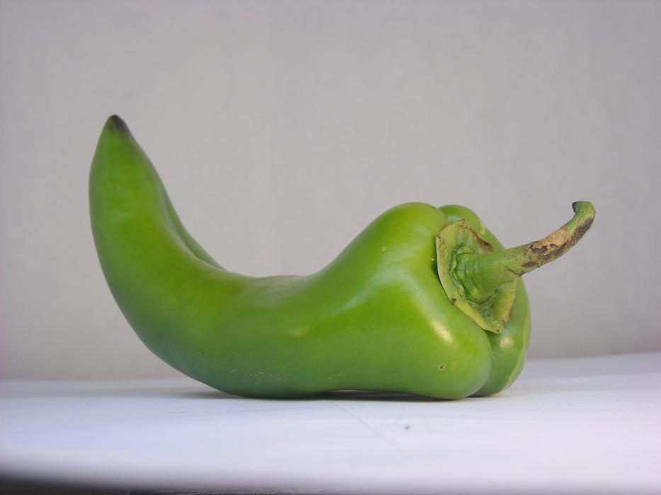 swirled green pepper on a white background
