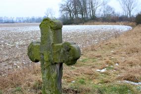 green moss cross grey view