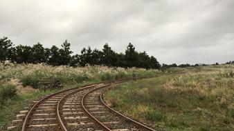The Railroad Line Reed Wind