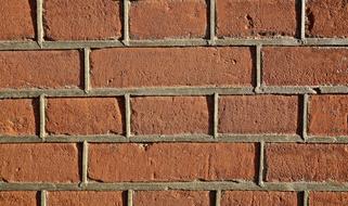 Brick Wall Brown