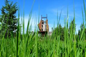 The Ruins Of architecture in Grass