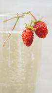 refreshing drink with strawberries