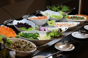 fresh tasty salads