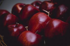 red apples in the shade