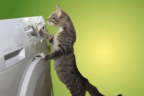 Cat Domestic Dryer