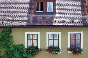 Rothenburg Facade Window