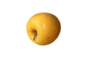 yellow apple on a white background