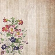 background boards flowers